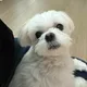 염총총