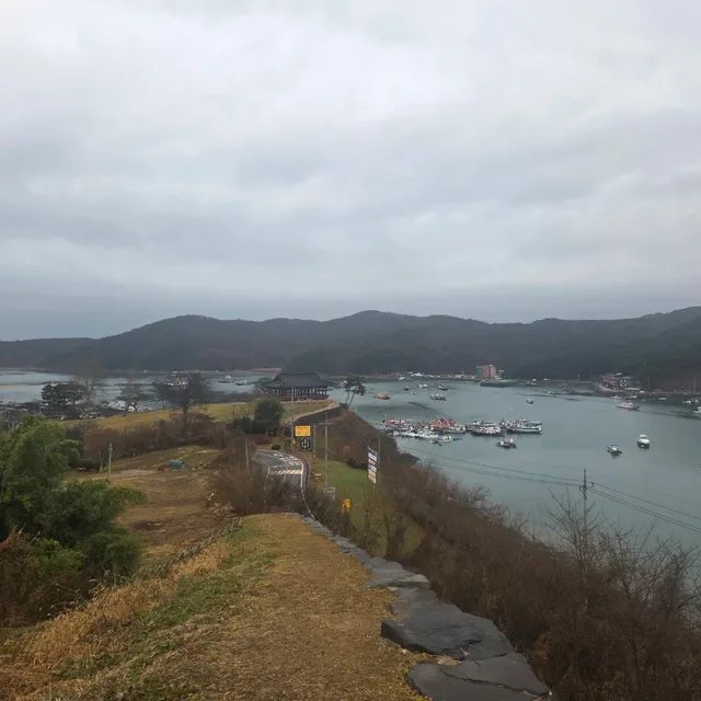 라떼
