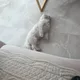 형욱