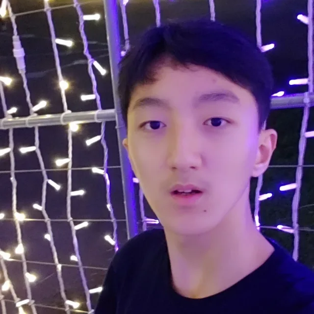 다크킹지오킥
