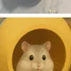 새해복마니