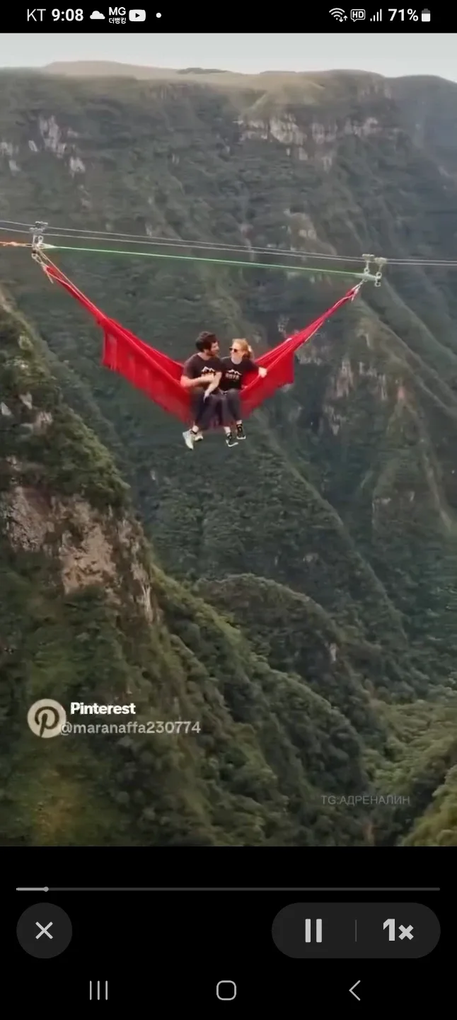 사랑이