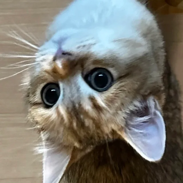 공정거래