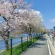 장미정원
