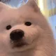 몽몽밍몽