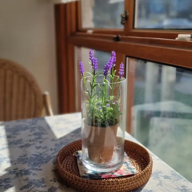 하늘보리