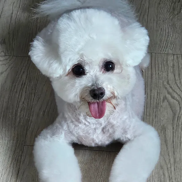 베티오라방구