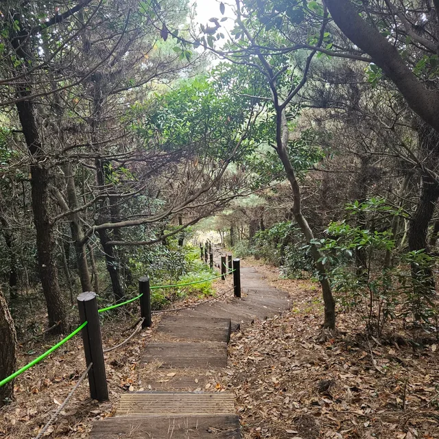 해오름