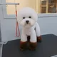 산이쿵이