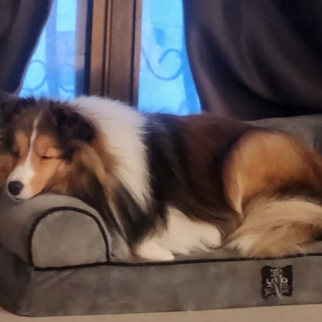MChui