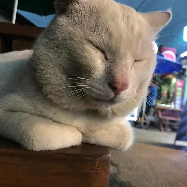 꾸에에에엑