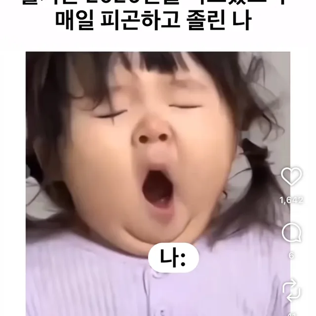 찌니s