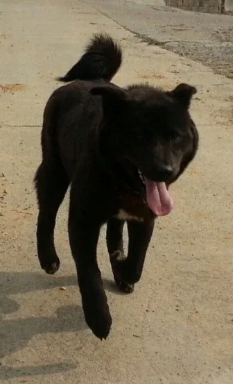 깜순이나의복덩이