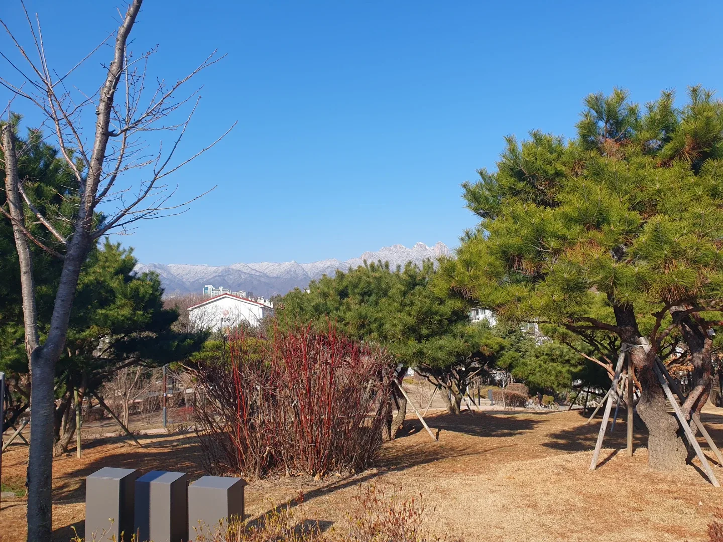 옐로욜로