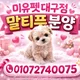 도그플러스동물병원칠곡점