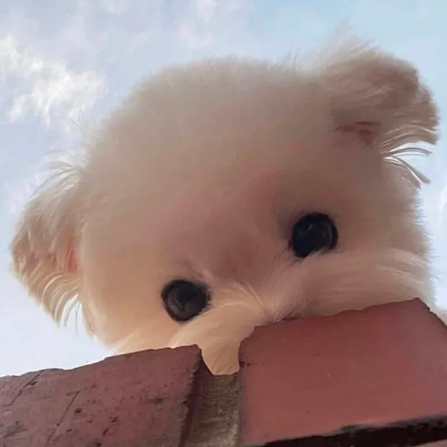 후딱