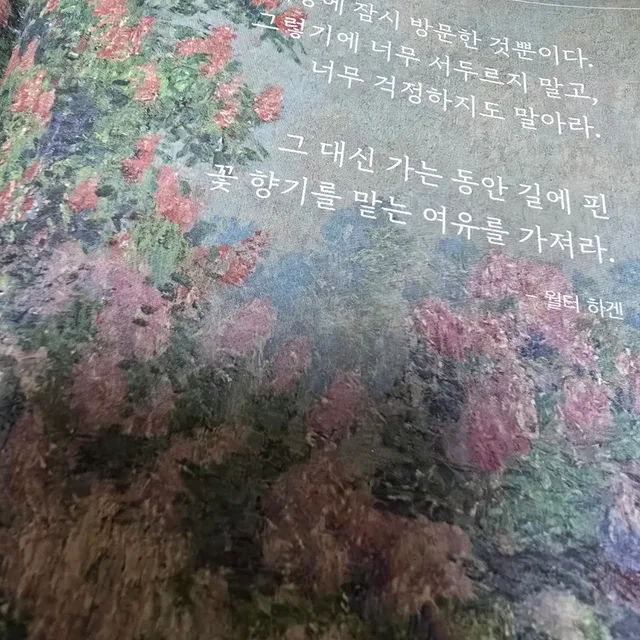 채송화