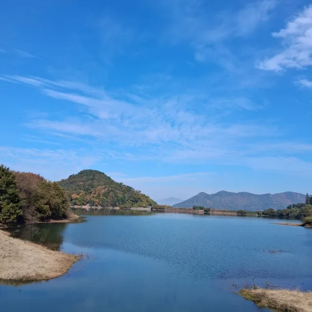 연화