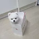 포동