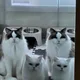 세상누리집사