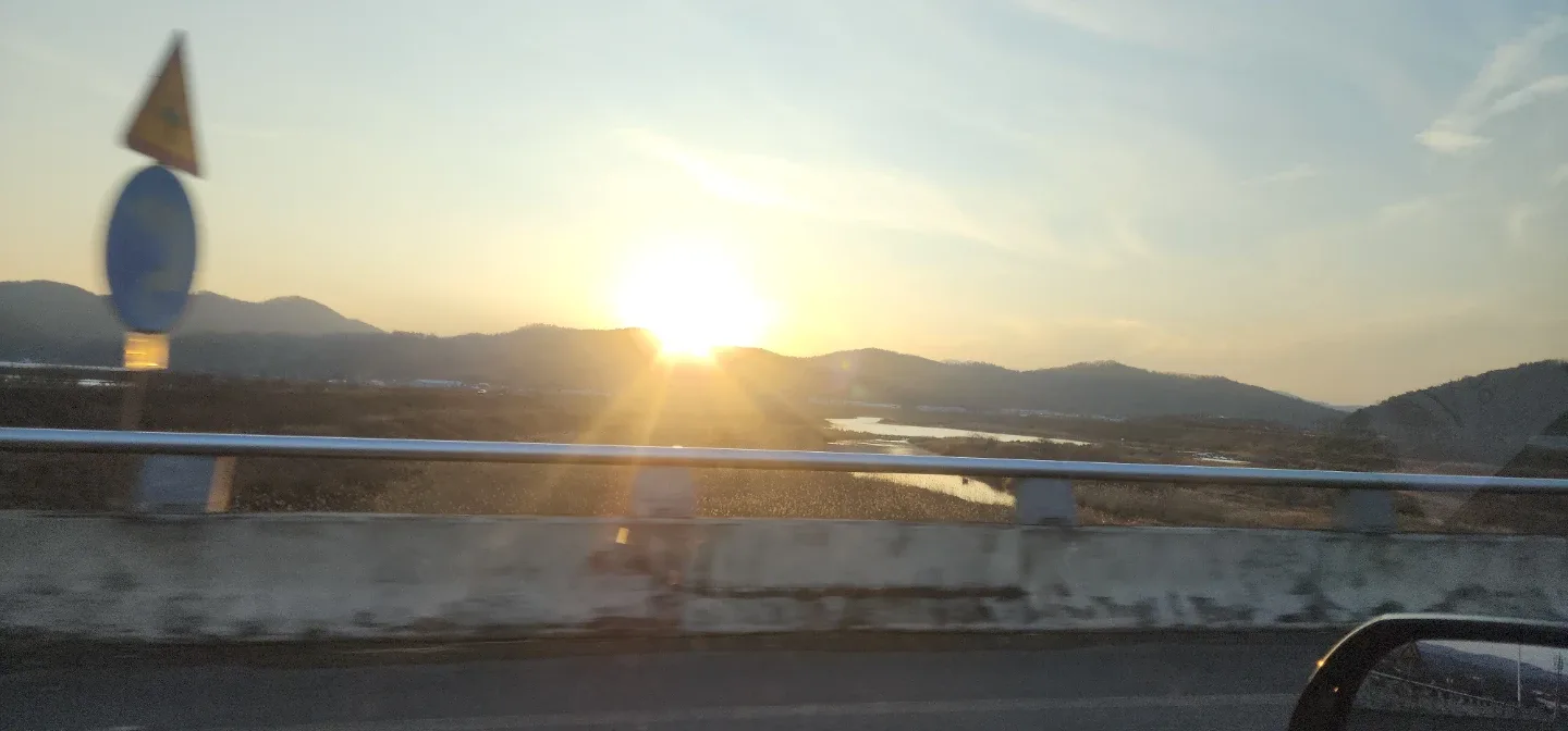 거북이