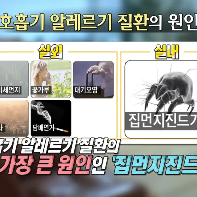 매트리스케어의모든것