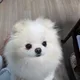 크롬이네