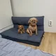 토리구리아빠