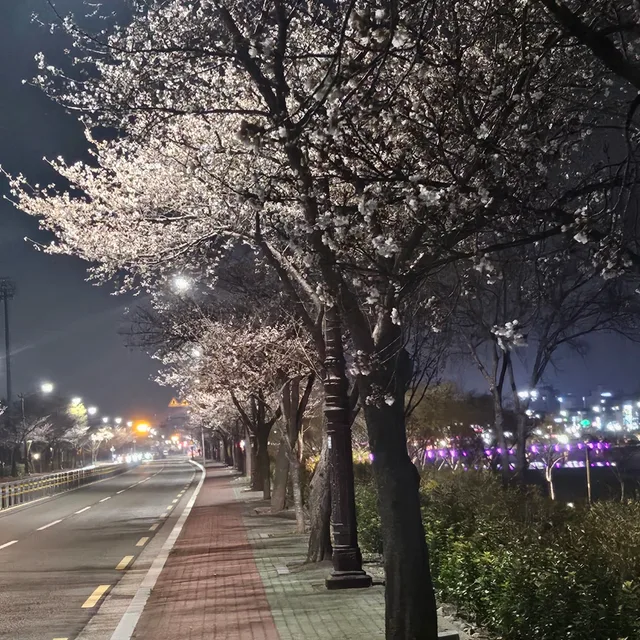 좋은날