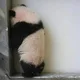 채용담당자
