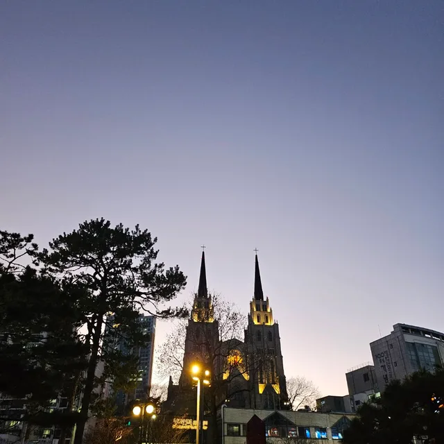 꼼디