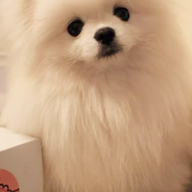 새별