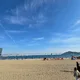 네오
