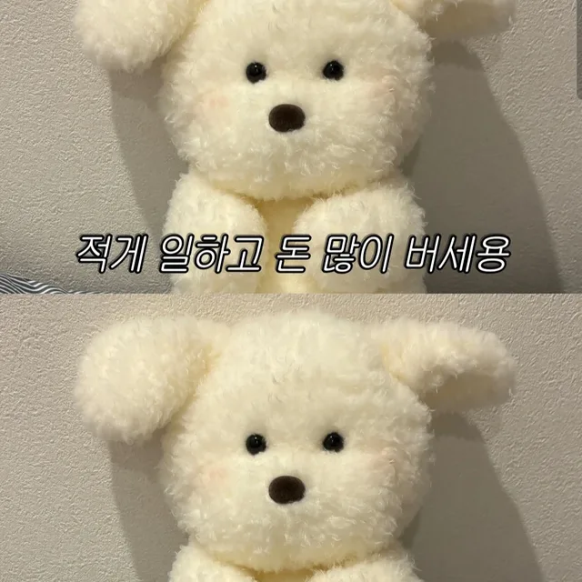 롱롱롱
