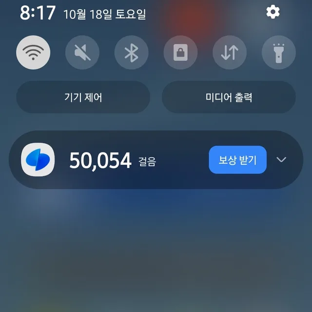 포리이