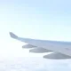 윤짱