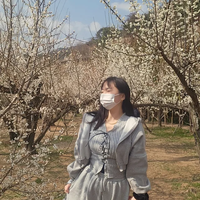 민이