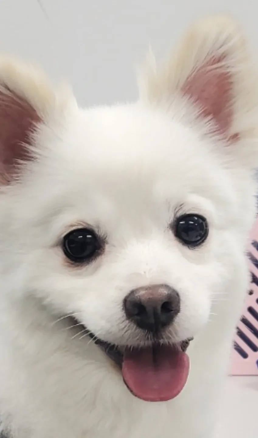 달봉러브