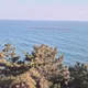 오톡