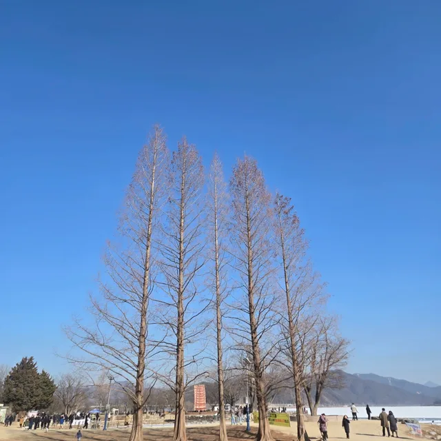 노니