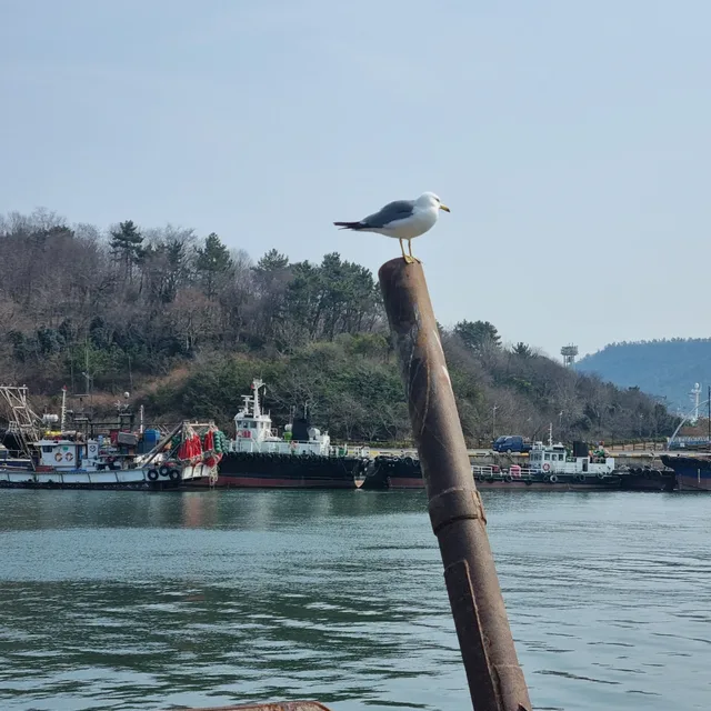 행복