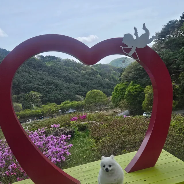 살아가다보니