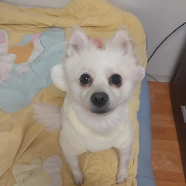 희망이없다