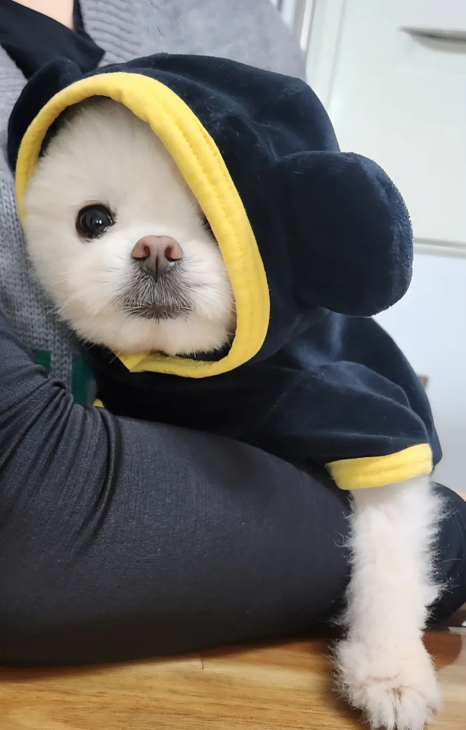 타이짱맘