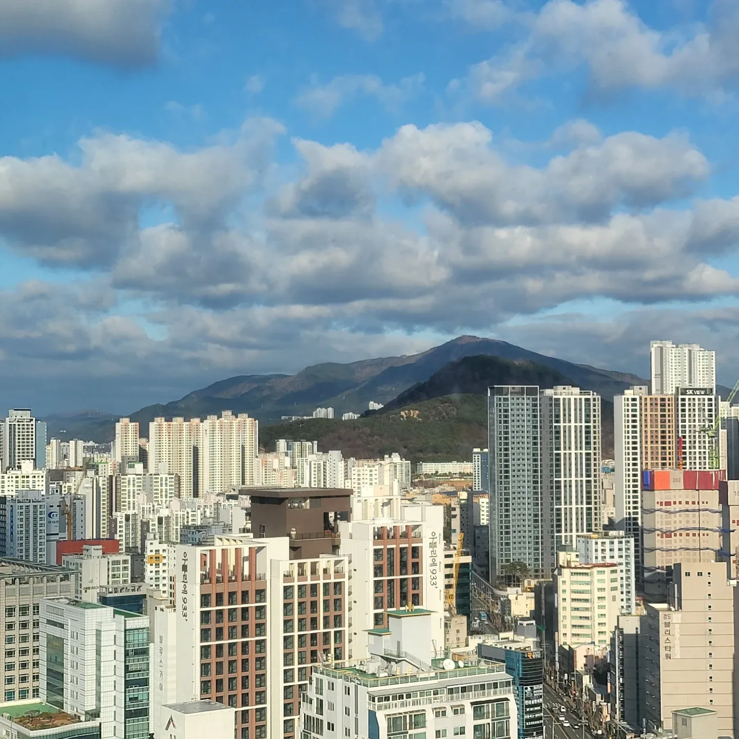 오소리삼촌