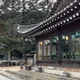 단아한