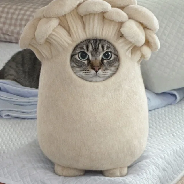 알순짱