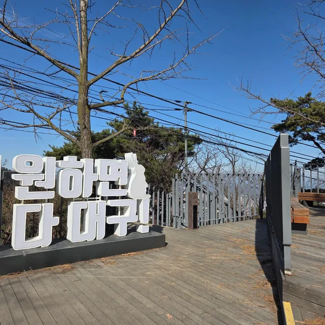 보이차