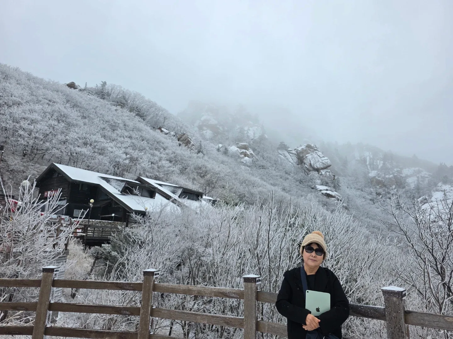 데레사