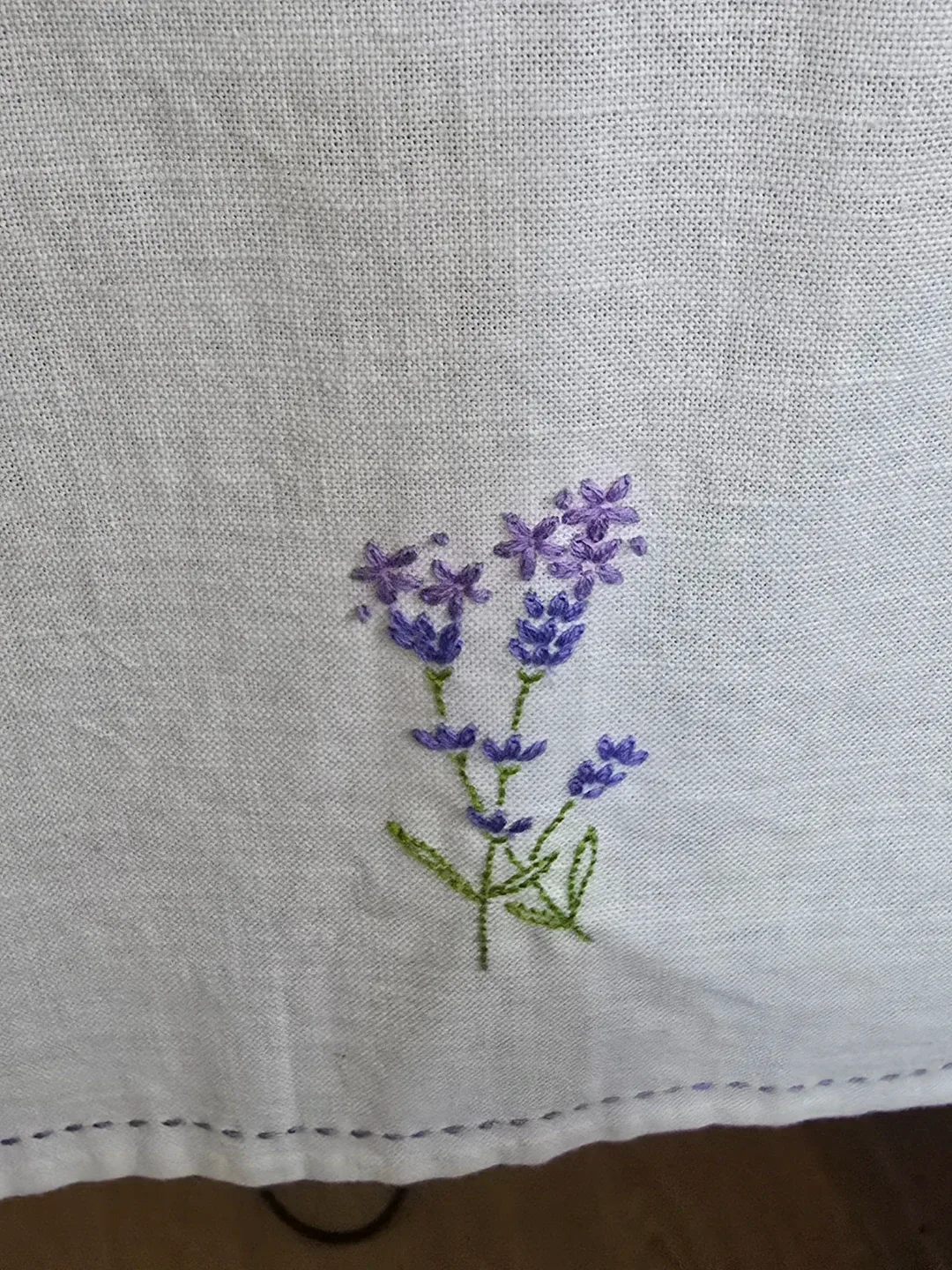 새벽다윈